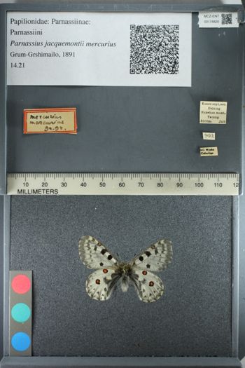 Media type: image;   Entomology 174820
